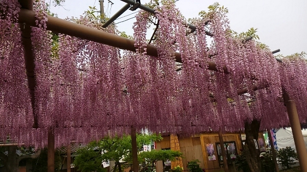 d0306603_32654.jpg