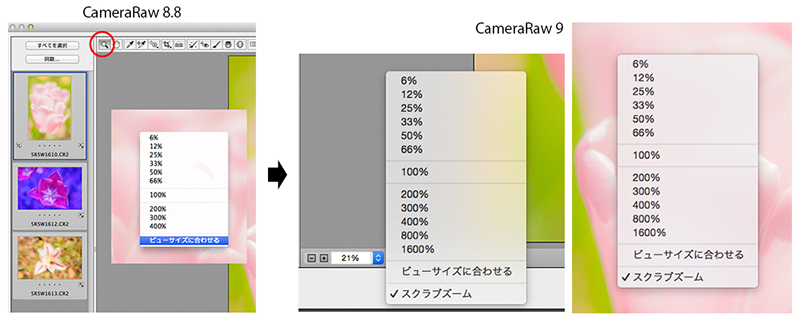 Adobe Camera Raw 9  　　＊記事再修正_f0274403_21165091.jpg
