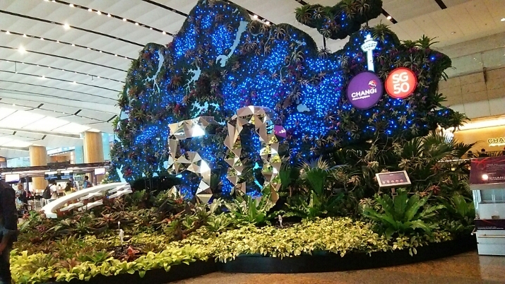 チャンギ空港も50周年(^o^)_c0212604_219551.jpg