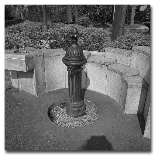 e0175405_62507.jpg