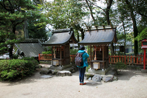 鷺森神社 新緑_e0048413_18551087.jpg