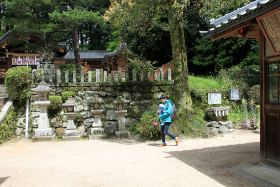 鷺森神社 新緑_e0048413_18552172.jpg