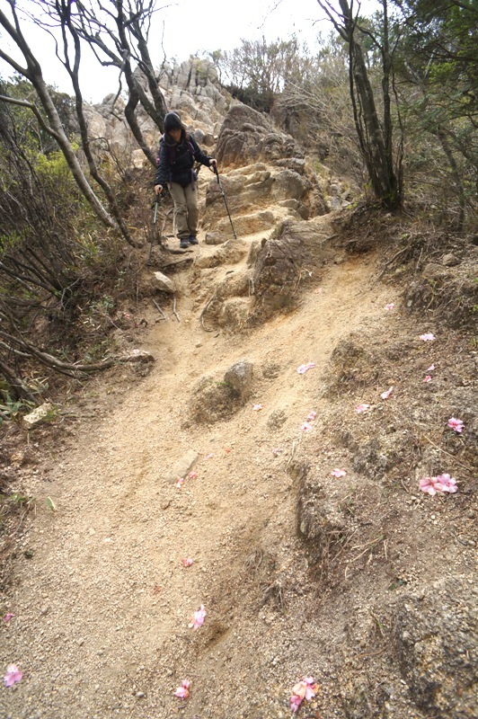 鎌ヶ岳編　アカヤシオが咲く登山道　その６_e0292414_19165133.jpg