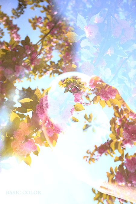 c0345215_11422194.gif