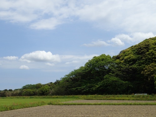 糸島 西部地区 ガサガサ隊出動～！_a0315918_18224261.jpg