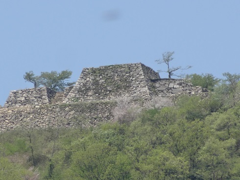 f0000521_05541347.jpg