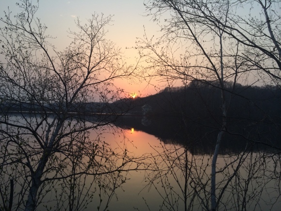 a0242423_01205677.jpg