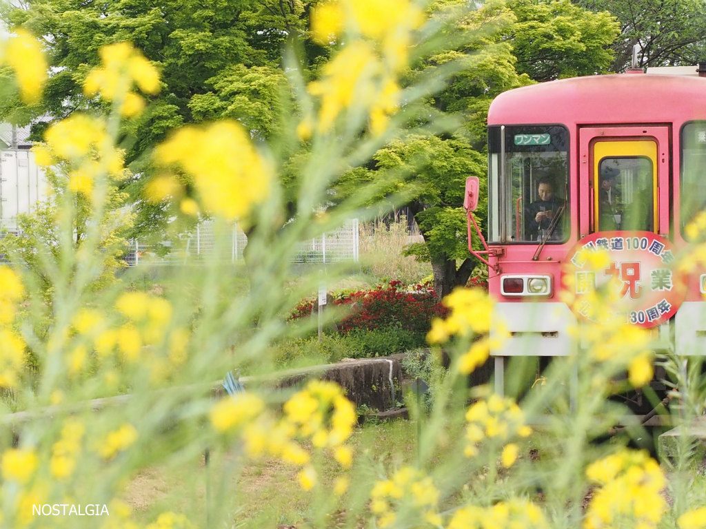 祝 北条鉄道30周年_e0255927_17351048.jpg