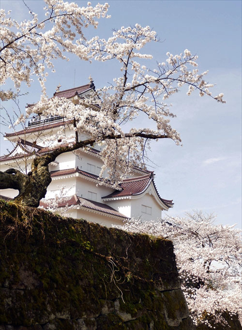 福島県会津若松市　「鶴ヶ城と桜」_d0106628_12020947.jpg