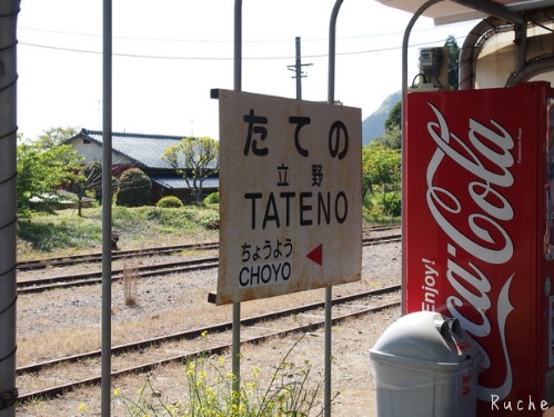 飛行機なら近いね熊本へgo!　DAY2　南阿蘇トロッコ列車_c0103830_1831116.jpg