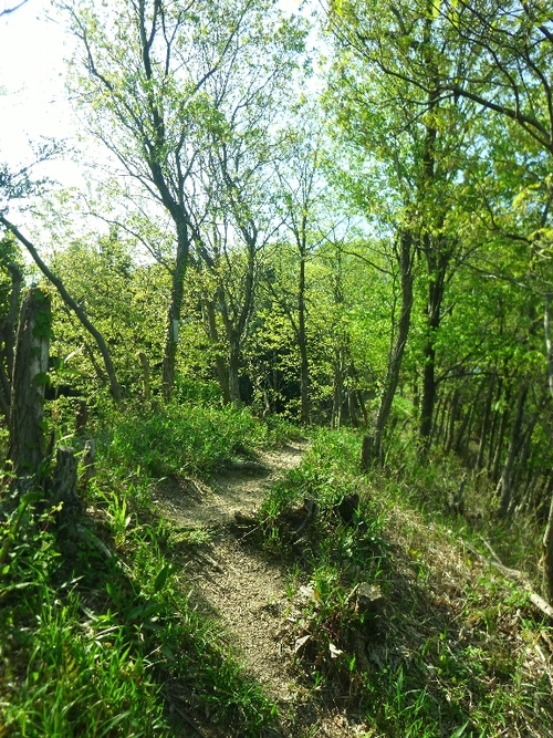 c0113733_22235562.jpg