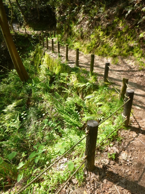 c0113733_22264515.jpg