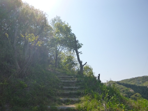 c0113733_22273280.jpg