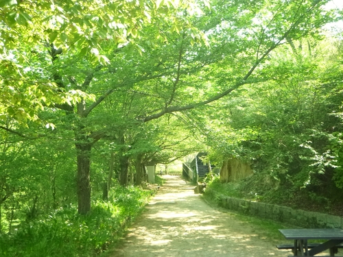 c0113733_2228928.jpg