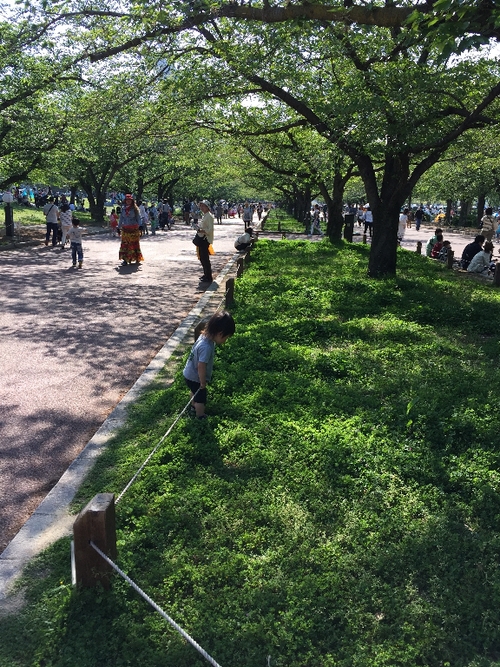 c0113733_22552794.jpg