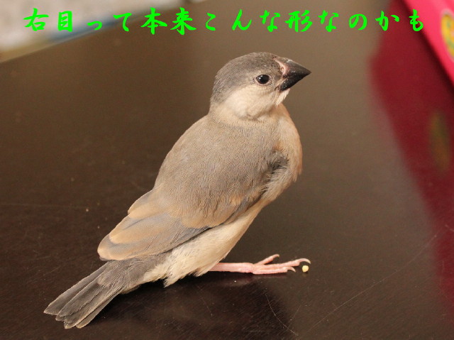 c0365734_22565753.jpg