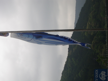 b0193238_9453789.jpg