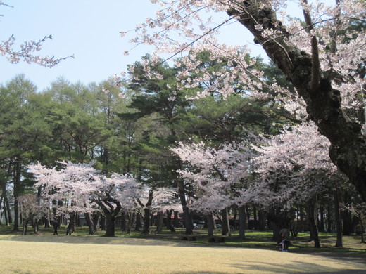 ぶらり散歩　見晴公園_e0145841_13205176.jpg