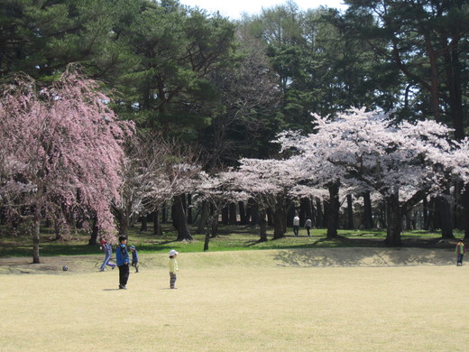 ぶらり散歩　見晴公園_e0145841_13234281.jpg