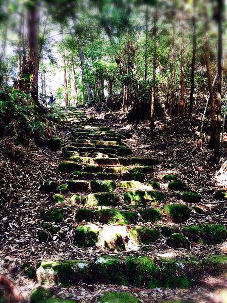 熊野古道@大観猪垣道コース_e0292546_20382953.jpg