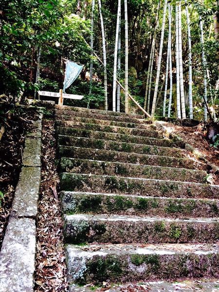 熊野古道@大観猪垣道コース_e0292546_20383953.jpg