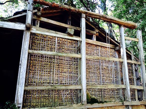 熊野古道@大観猪垣道コース_e0292546_20384467.jpg