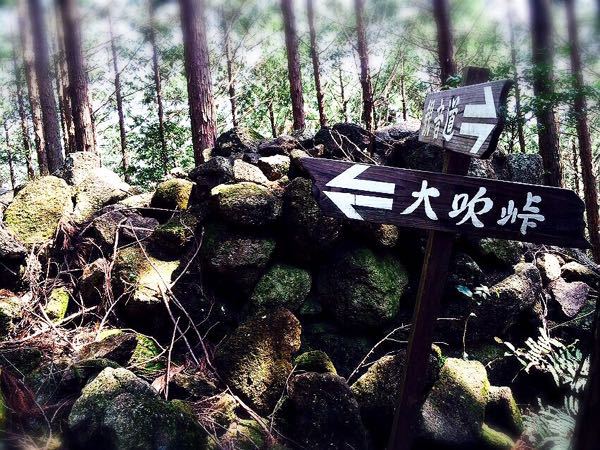 熊野古道@大観猪垣道コース_e0292546_20385066.jpg