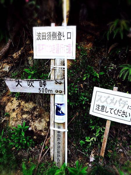 熊野古道@大観猪垣道コース_e0292546_2039713.jpg