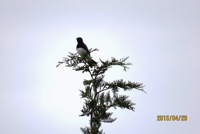 b0227552_20114715.jpg