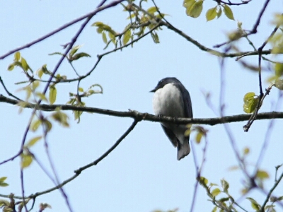 c0352852_2101564.jpg