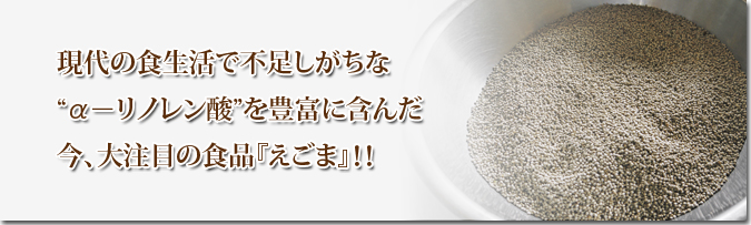 菊池水源産『焙煎えごま粒』販売スタート!!完全無農薬・無化学肥料で育てました！_a0254656_17381668.jpg