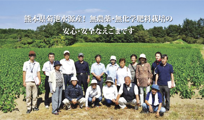 菊池水源産『焙煎えごま粒』販売スタート!!完全無農薬・無化学肥料で育てました!_a0254656_17472144.jpg
