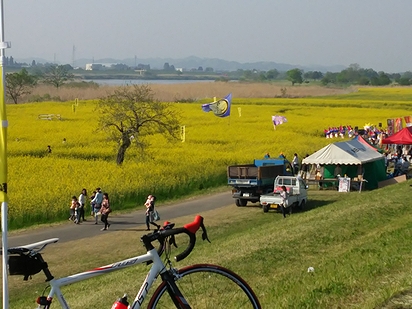 a0096557_17521318.jpg