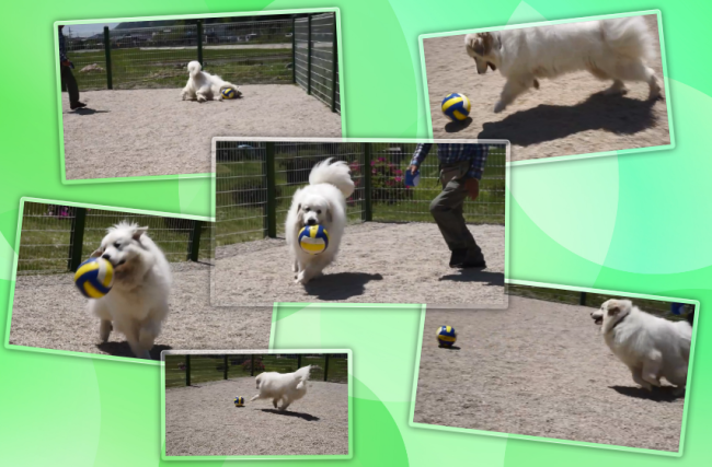 a0201257_20530196.png