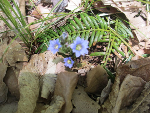 e0325357_2112188.jpg