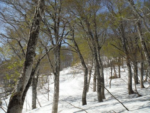 c0294658_22004616.jpg