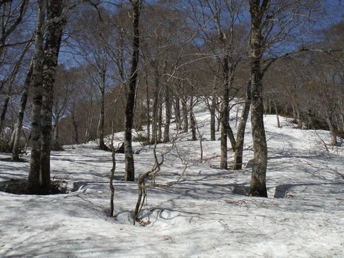 c0294658_22005667.jpg