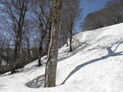 c0294658_22011548.jpg