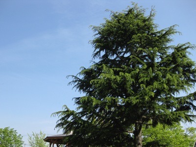 c0190960_2085751.jpg