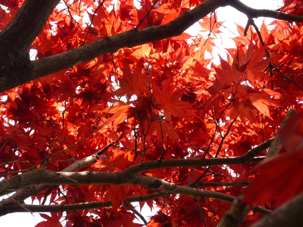 c0222861_20281119.jpg