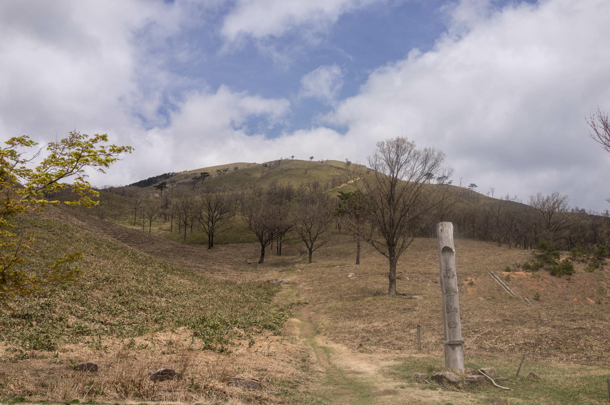 深入山の花々_e0015567_2121573.jpg