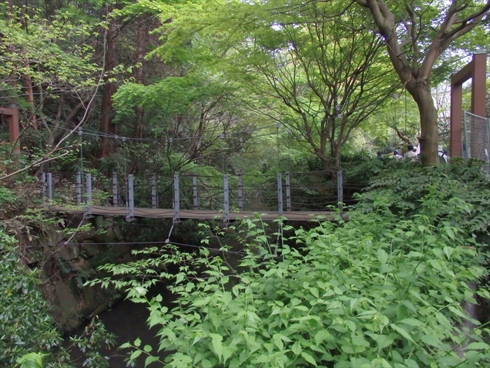 d0031171_94927.jpg