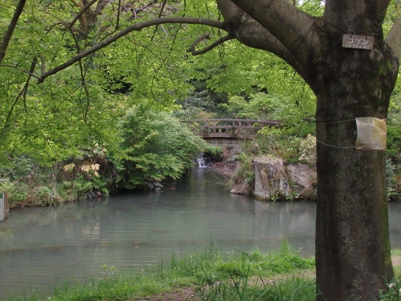 d0031171_97471.jpg