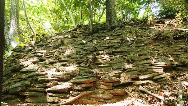 e0148373_10210059.jpg