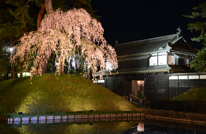 弘前さくらまつり夜景写真_e0171573_2241762.jpg