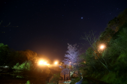 d0262476_52942.jpg