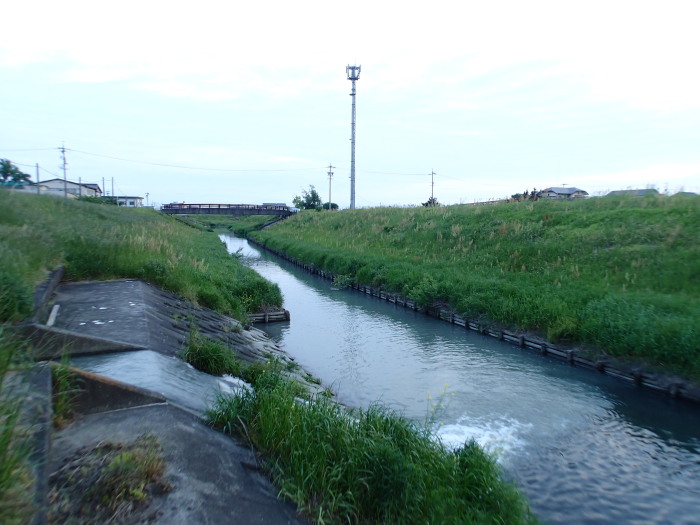 ナマズフィッシング 気ままに釣り日記