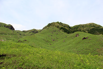 わらびをとりに行きたいの・・。4/29_c0152779_19243093.jpg