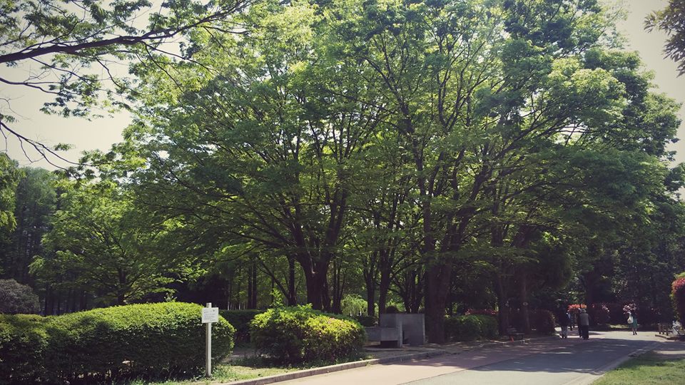 癒しと元気の元。。。_b0210688_12192189.jpg