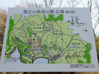 e0239190_17363370.jpg
